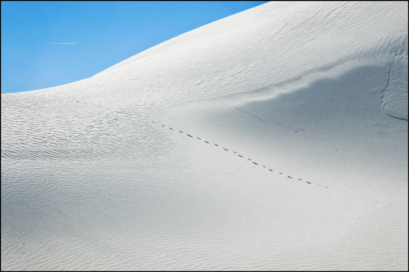 White Sands 2013